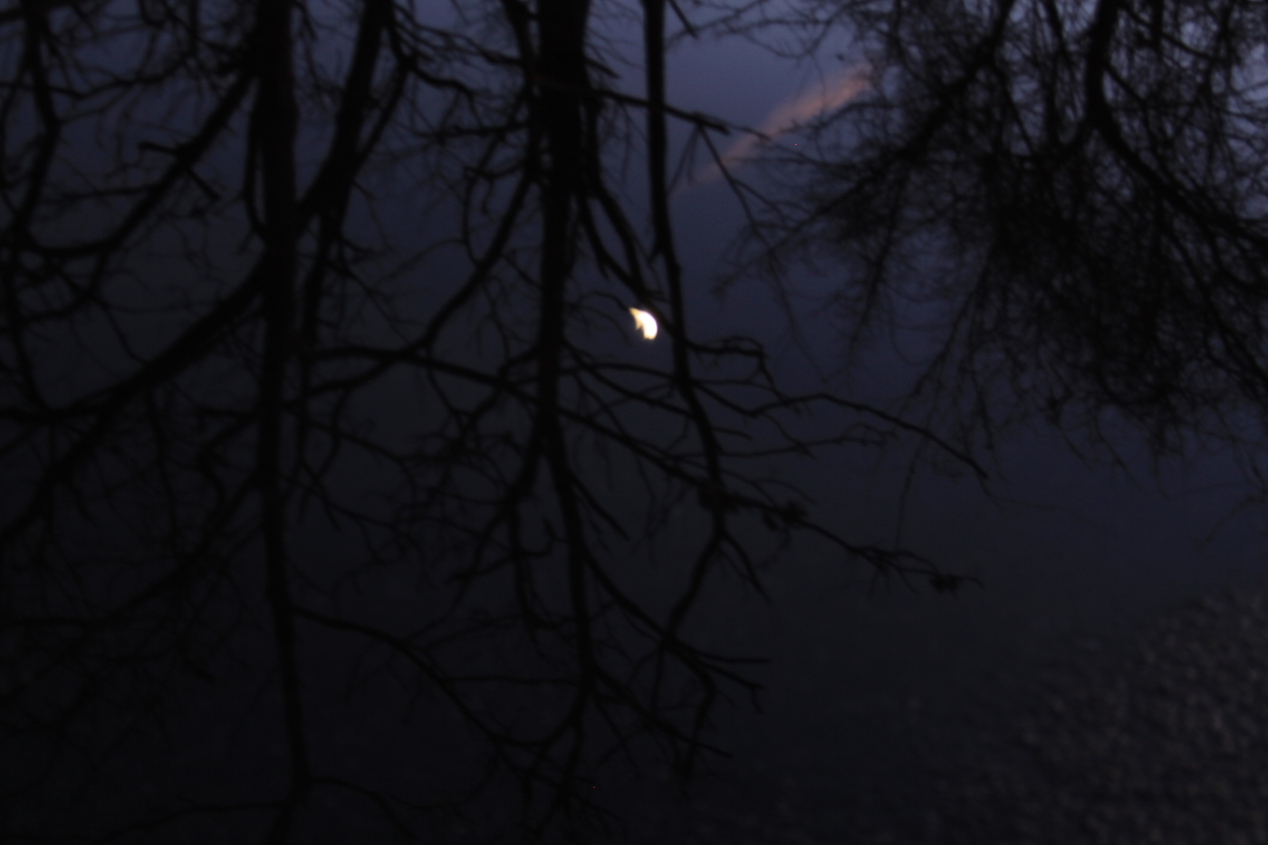 2009 11 21 IMG 3049